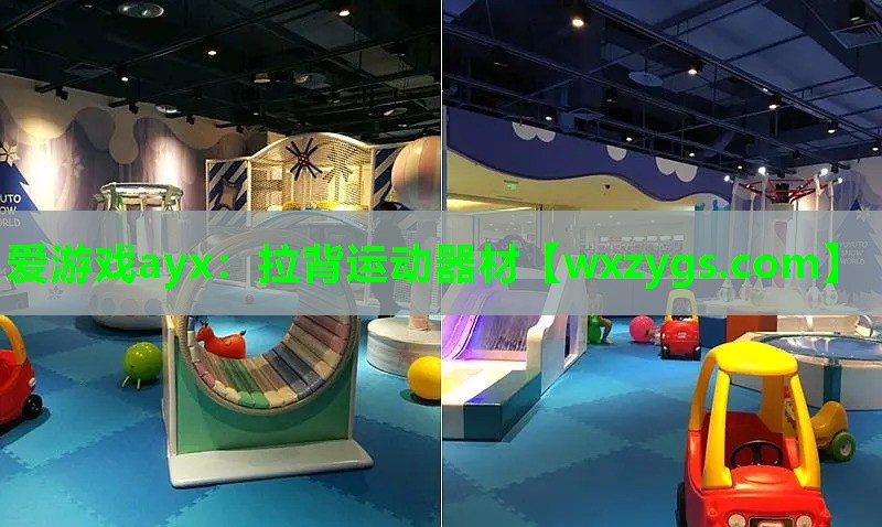 爱游戏ayx：拉背运动器材