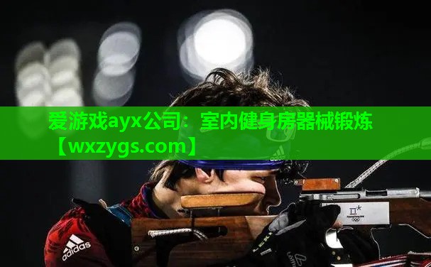 爱游戏ayx公司：室内健身房器械锻炼