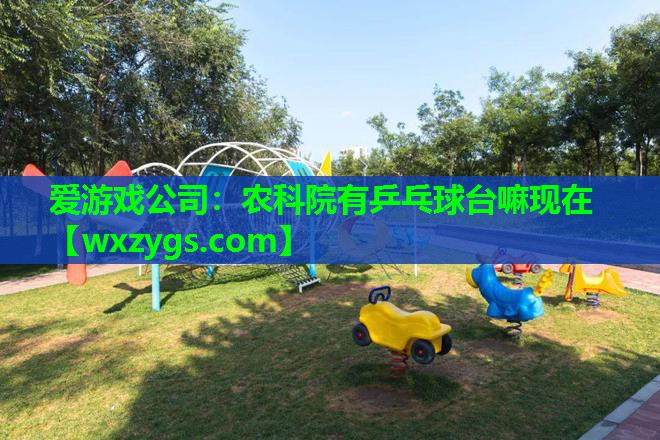 爱游戏公司：农科院有乒乓球台嘛现在
