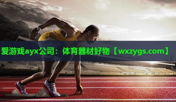 爱游戏ayx公司：体育器材好物