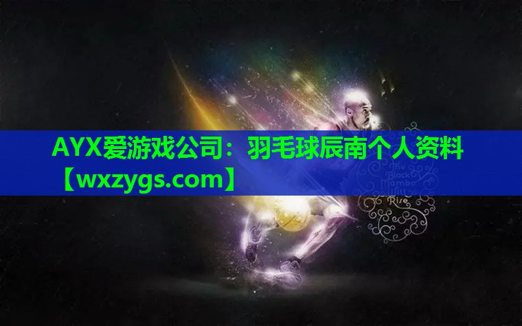 AYX爱游戏公司：羽毛球辰南个人资料