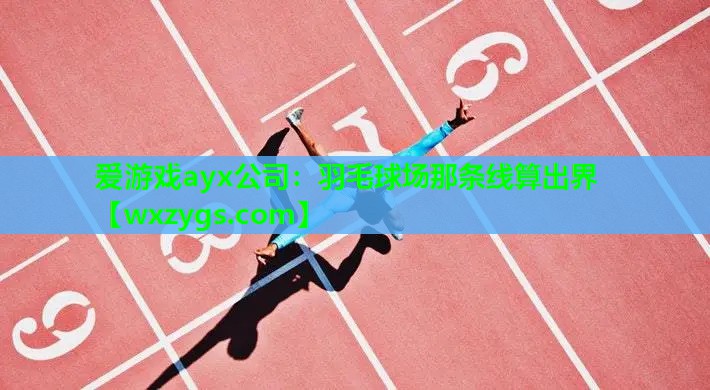 爱游戏ayx公司：羽毛球场那条线算出界