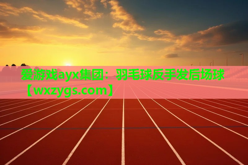 爱游戏ayx集团：羽毛球反手发后场球