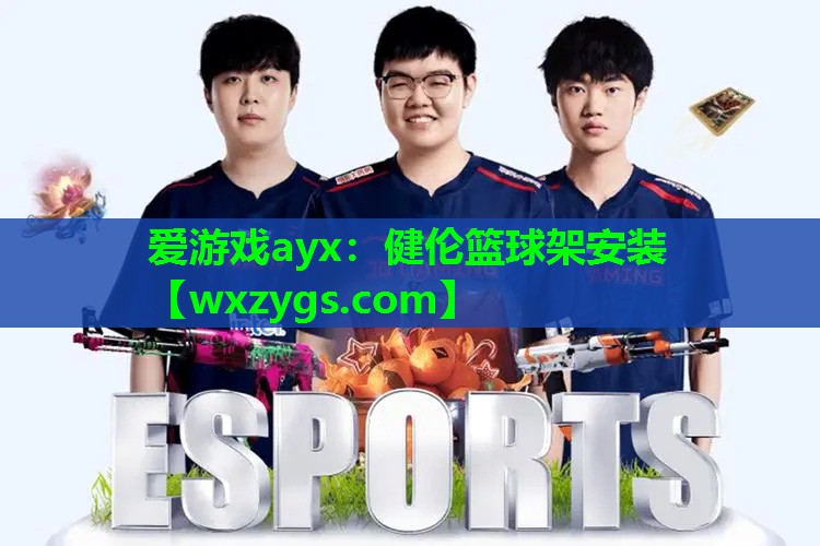 爱游戏ayx：健伦篮球架安装