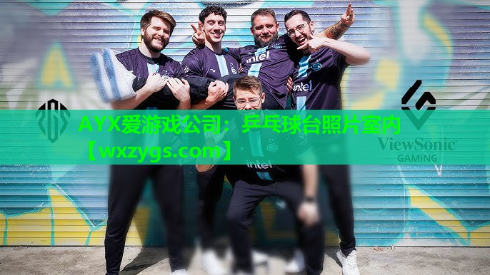 AYX爱游戏公司：乒乓球台照片室内