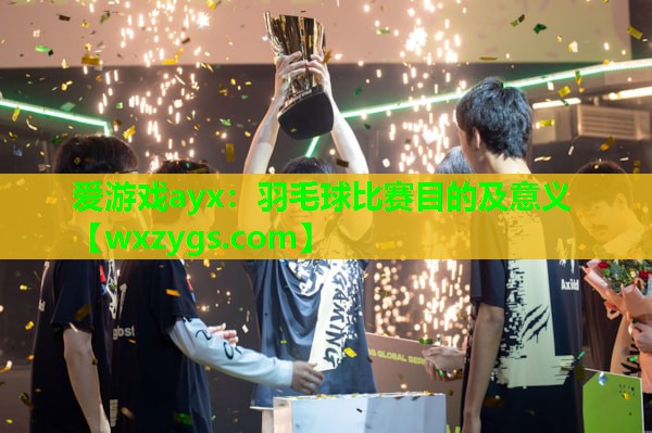 爱游戏ayx：羽毛球比赛目的及意义