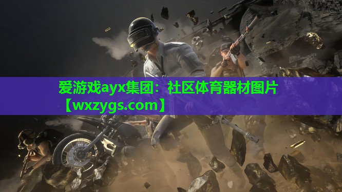 爱游戏ayx集团：社区体育器材图片