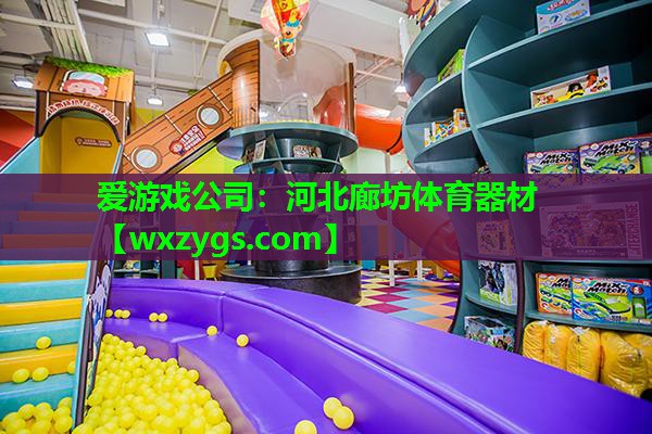 爱游戏公司：河北廊坊体育器材