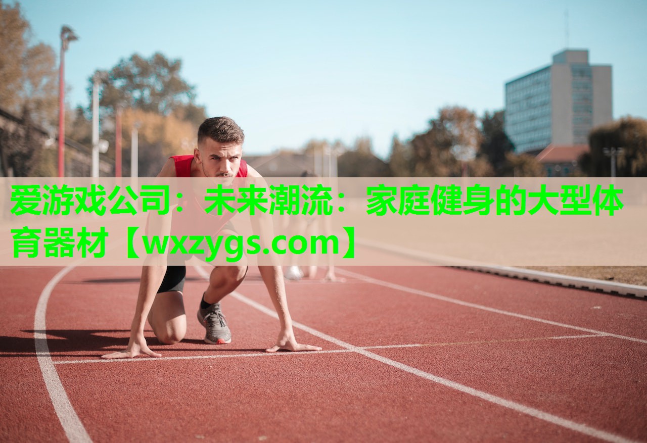 爱游戏公司：未来潮流：家庭健身的大型体育器材