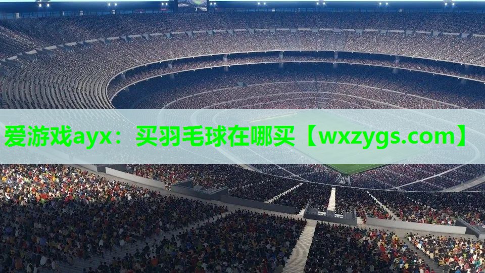 爱游戏ayx：买羽毛球在哪买