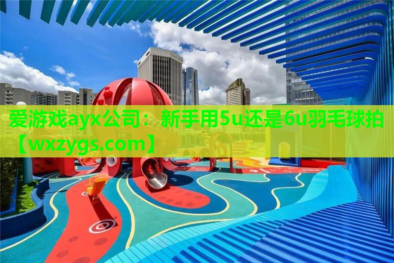 爱游戏ayx公司：新手用5u还是6u羽毛球拍