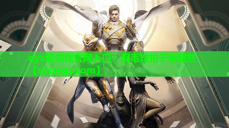 ayx爱游戏官网入口：羽毛球拍子有哪些