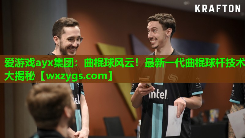 爱游戏ayx集团：曲棍球风云！最新一代曲棍球杆技术大揭秘