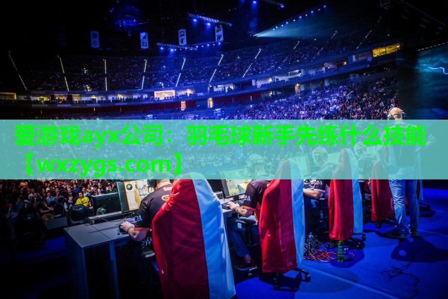 爱游戏ayx公司：羽毛球新手先练什么技能