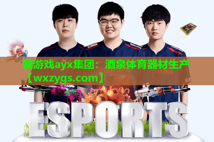 爱游戏ayx集团：酒泉体育器材生产