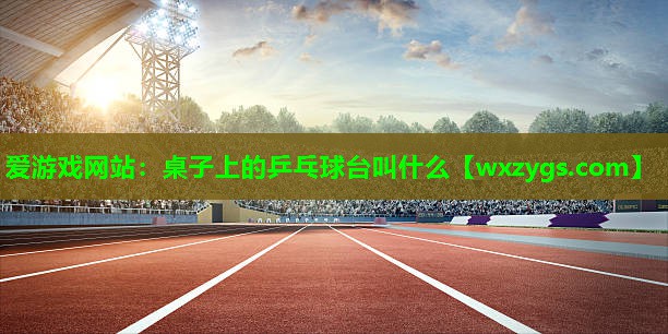 桌子上的乒乓球台叫什么 桌子上的乒乓球台叫什么