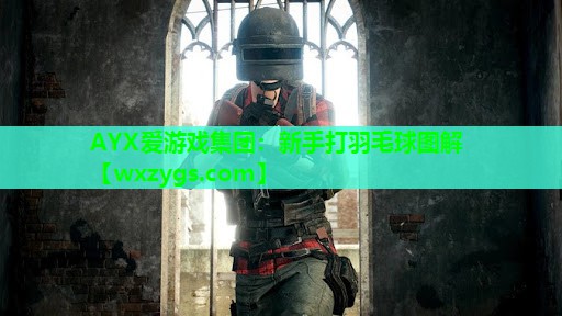 新手打羽毛球图解 新手打羽毛球图解