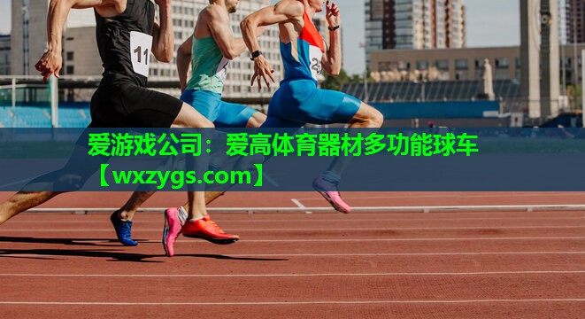 爱高体育器材多功能球车 爱高体育器材多功能球车
