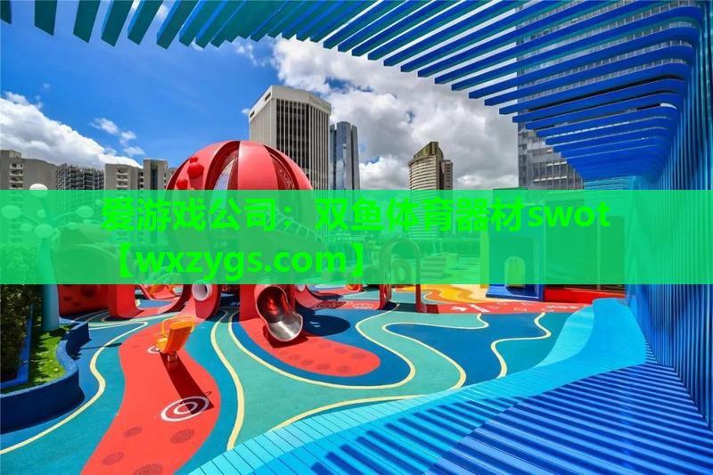双鱼体育器材swot 双鱼体育器材swot
