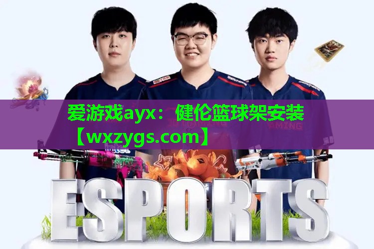 健伦篮球架安装 健伦篮球架安装