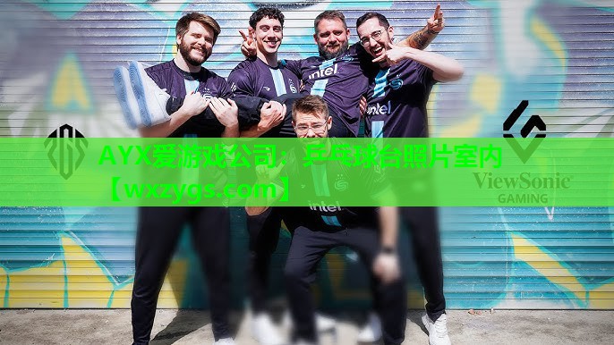 乒乓球台照片室内 乒乓球台照片室内