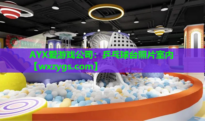 乒乓球台照片室内 乒乓球台照片室内