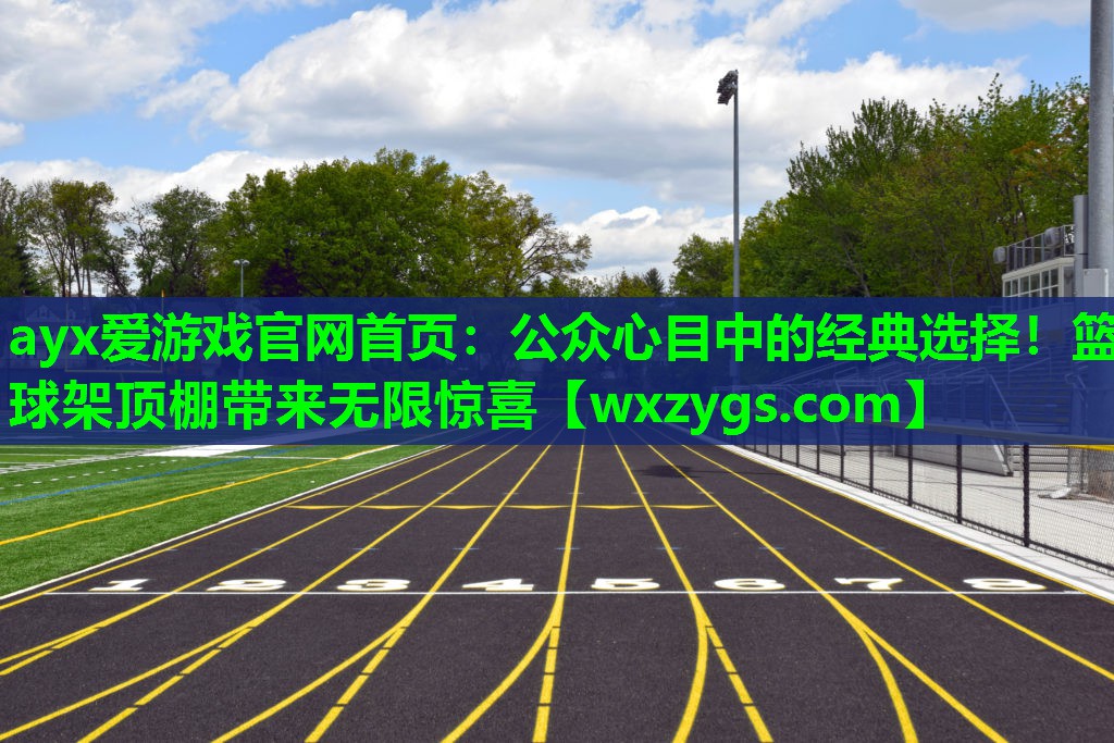 公众心目中的经典选择!篮球架顶棚带来无限惊喜 公众心目中的经典选择!篮球架顶棚带来无限惊喜