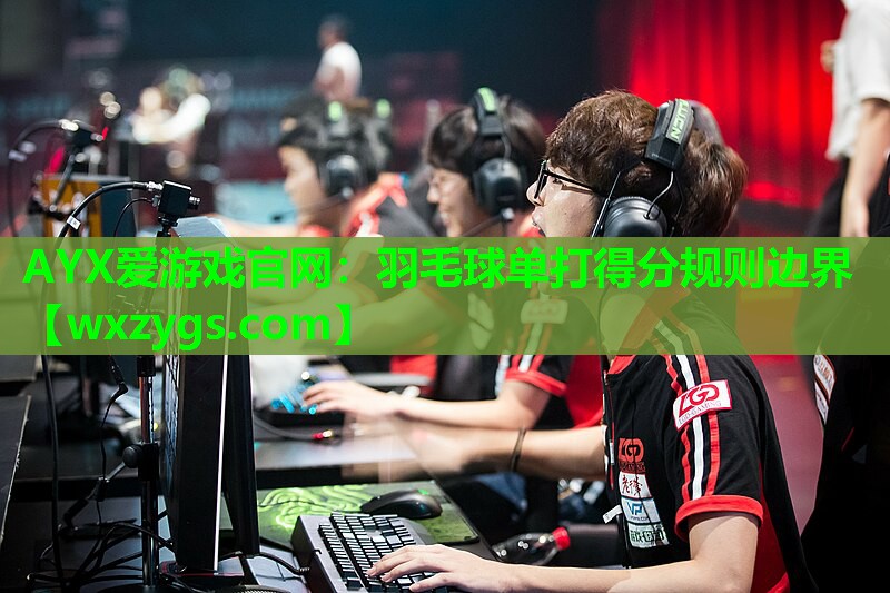 羽毛球单打得分规则边界