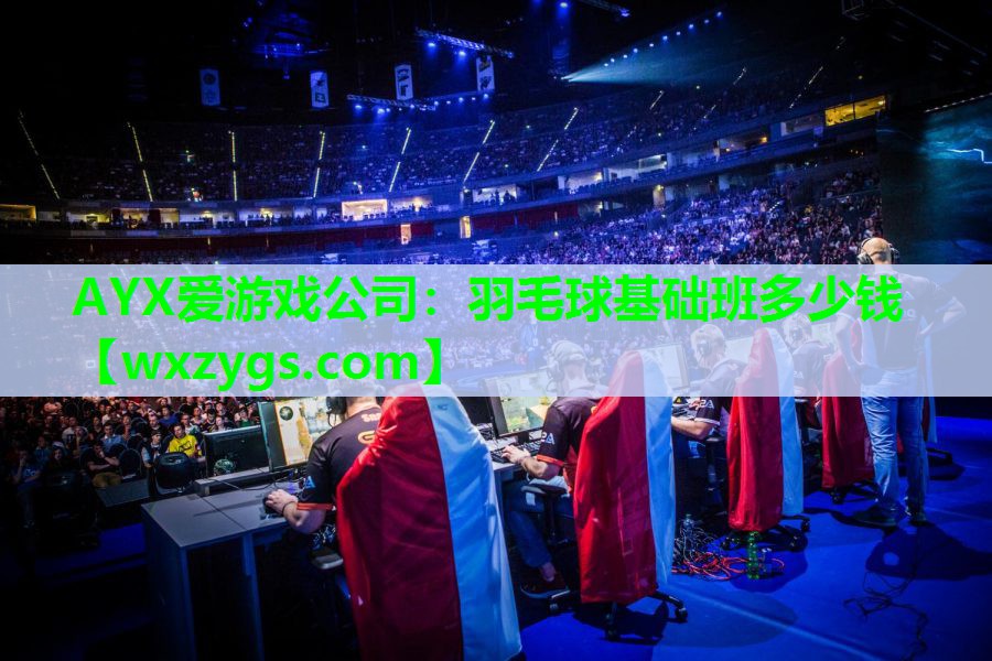 羽毛球基础班多少钱 羽毛球基础班多少钱